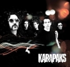 karapaks / #7309