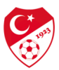 türkiye milli futbol takımı