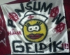 7 mayıs 2011 bursaspor beşiktaş maçı / #136267