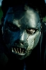 paul gray / #94378