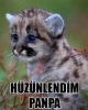 sevgilisi uğruna amerikaya gitmekten vazgeçen genç / #124885