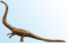 barosaurus