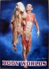 body worlds