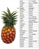 ingilizlerin ananas a ananas dememesi / #133000