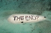 the end / #75915