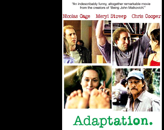 adaptation