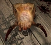 headcrab