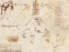 leonardo da vinci nin icatlari / #56449