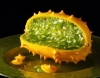 kiwano kavunu / #41890