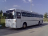 mercedes o302s / #50492