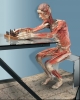 body worlds