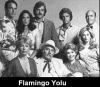 flamingo yolu / #22423