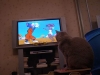 tom ve jerry deki tom a rakip olan kediler / #104184