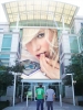 wonder international real estate / #134892