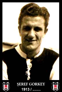 şeref görkey