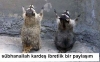 ayakkabı numarası ve doğum tarihi ile matematik / #38251