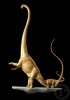 barosaurus