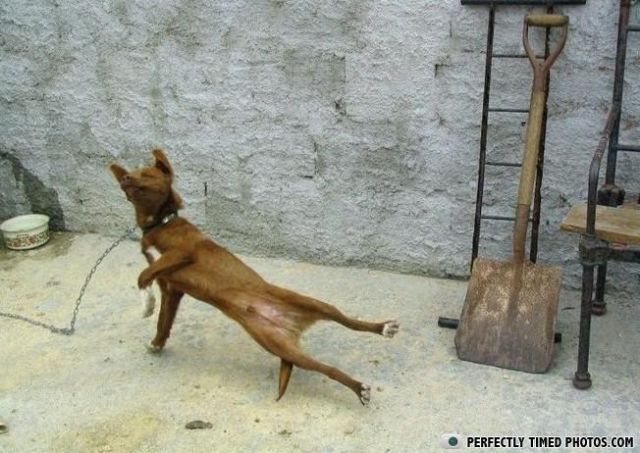 break dance