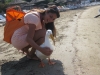 survivor merve / #13449