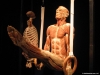 body worlds