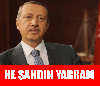 yaran inci sözlük capsleri