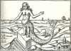 atargatis / #131870