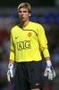 ron robert zieler