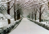 10 aralık 2010 istanbul kar yağışı
