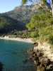 kabak koyu / #73987