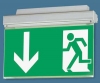 emergency exit