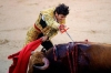 matador / #64578