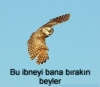 köy ve varoş okullarının gereksiz olduğu gerçeği / #124926