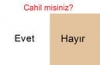 cahil misiniz 58 evet 42 hayır