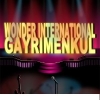 wonder international real estate / #134901