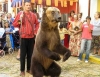 dancing bear