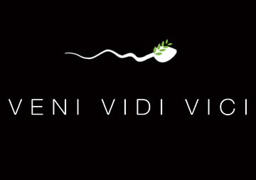 Piyasaya yeni giriş yapan Boli'nin Veni Vidi Vici şarkısı yayınlandı,  yorumlarınız nedir ?