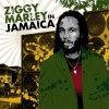 ziggy marley / #84542