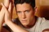 wentworth miller