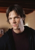 sam winchester