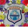 wonder international real estate / #134902