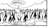 penguenlerin hepsi birbirine benziyor diyen çinli / #116426