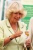 camilla parker bowles