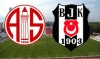 28 şubat 2011 mp antalyaspor beşiktaş maçı / #116915