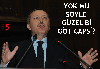 yaran inci sözlük capsleri