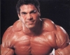 lou ferrigno / #31707