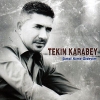 tekin karabey / #44960