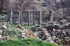 atargatis / #131871