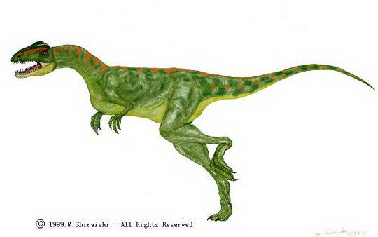 halticosaurus