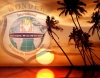 wonder international real estate / #134910