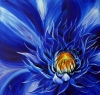 electron blue / #134135